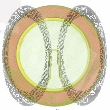 Пьезоблок 35x0.43мм тип E 2.6кГц 3C CBC3526BB DAE YOUNG