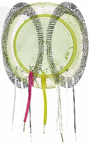 Пьезоблок 27x0.22мм тип E 2.6кГц 3L10 XZ27B-26TS 20x0.11