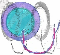 Пьезоблок 27x0.50мм тип D 4.6кГц 2L40 XZ27S-46E 20x0.25нерж сталь.с защитой пб