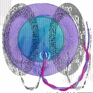 Пьезоблок 31x0.5мм тип D 3кГц 2L35 XZ31S-30E 20x0.25с зел защитой пьезоплас