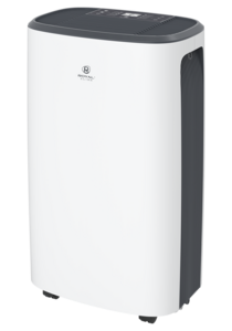 Осушитель воздуха серии ROYAL CLIMA CARISMA Loft RD-CR16-E