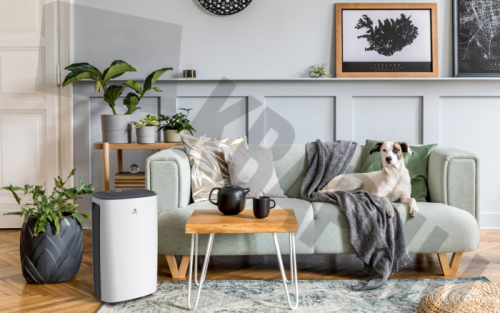Осушитель воздуха серии ROYAL CLIMA CARISMA Loft RD-CR16-E