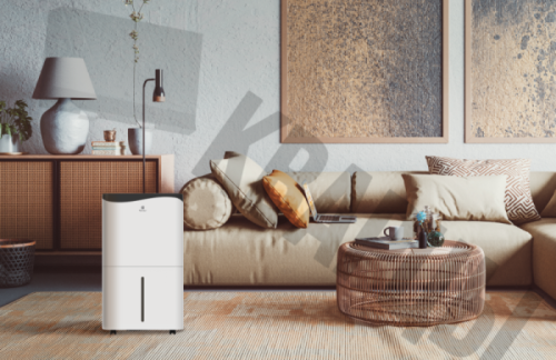 Осушитель воздуха серии ROYAL CLIMA PACIFIC Villa RD-PC40-E